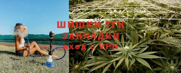 крисы Иннополис