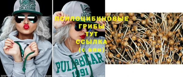 крисы Иннополис