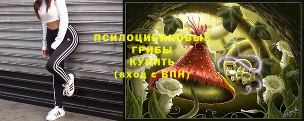 крисы Иннополис