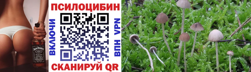 где можно купить наркотик  Димитровград  Псилоцибиновые грибы Magic Shrooms 
